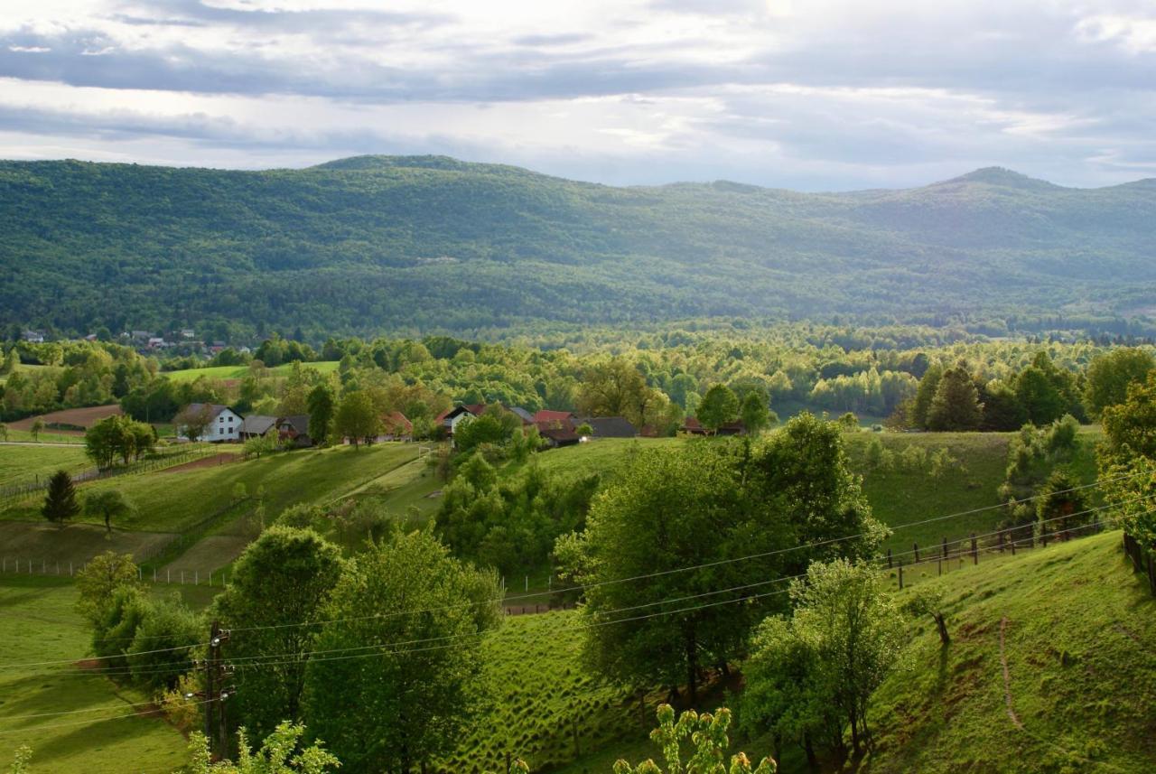 Frankovic Bed&Breakfast Vinica Esterno foto